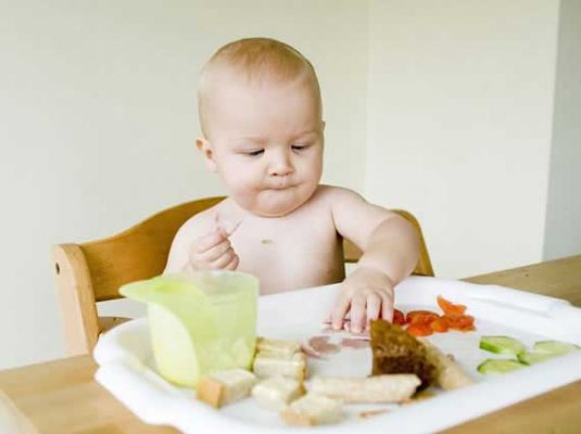 Baby led weaning é seguro