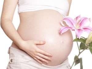 gravida gravidez flor 450x338 ok